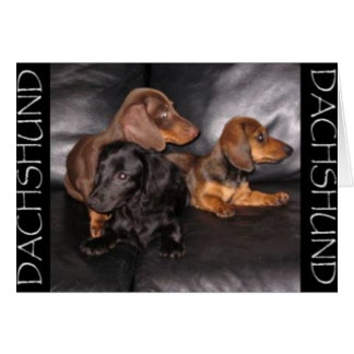 Titta på det andra sättet hälsningskort