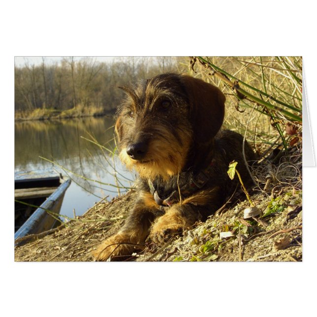 Titta på det hälsningskort (Framsidan Horizontal)