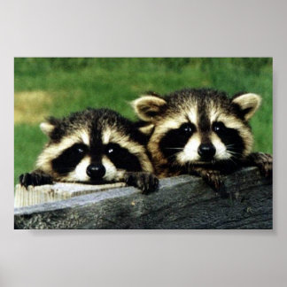 Titta på dig poster