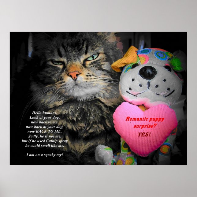 Titta på din Hund. Poster (Framsidan)