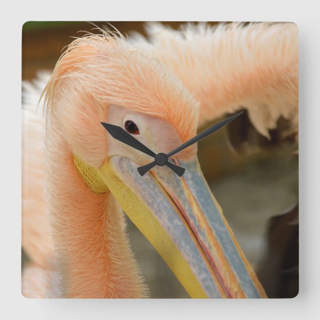 Titta på din Pelican Wall Clock Fyrkantig Klocka (Framsida)
