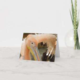 Titta på ditt pelican Note Card Kort