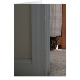 Titta på en Boo! Kassakort Hälsningskort