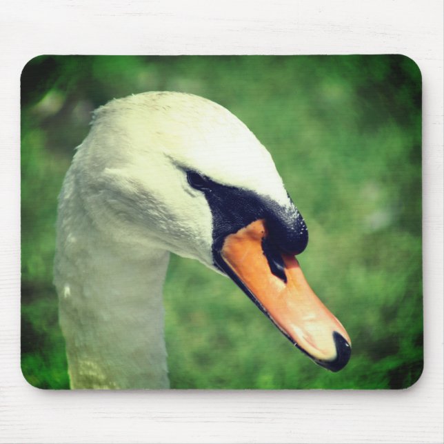 Titta på Kung Svan natur Musmatta (Framsidan)