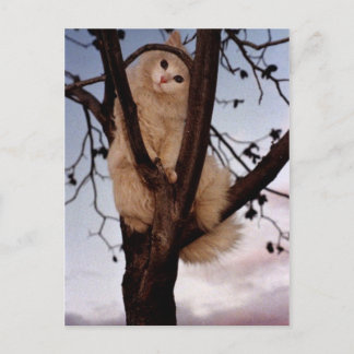 Titta på mig! vykort