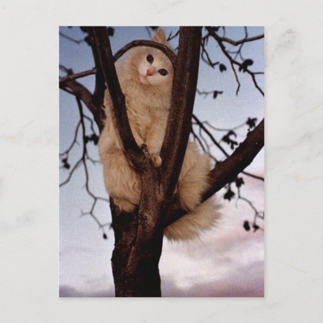 Titta på mig! vykort (Framsida)