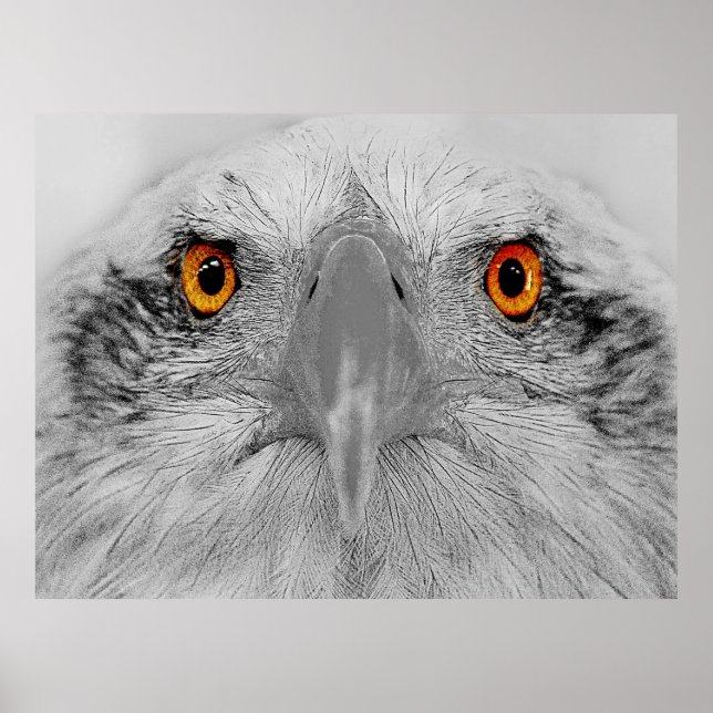 Titta på min öga poster (Framsidan)