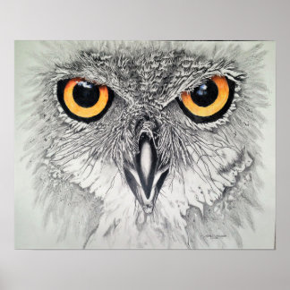 Titta på Öga Poster