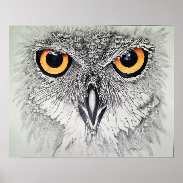 Titta på Öga Poster (Framsidan)