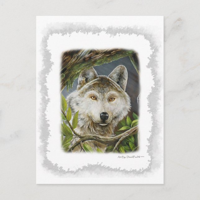 Titta på Öga Vykort (Framsida)