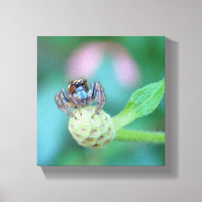 Titta på Ögonen! Canvastryck (Framsida)