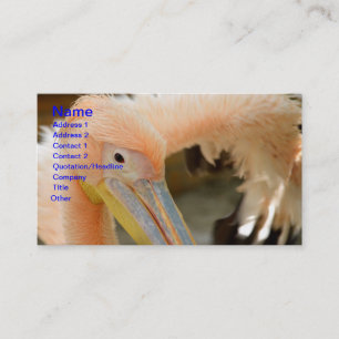 Titta på Pelican-Affärskortet Visitkort