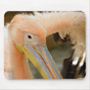 Titta på Pelican Mousepad Musmatta