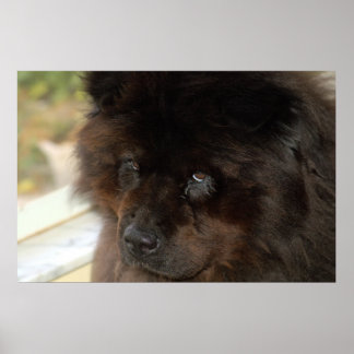 Titta Poster