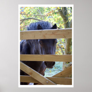 Titta. [Skriv ut] Poster