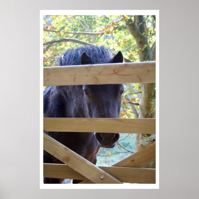 Titta. [Skriv ut] Poster (Framsidan)