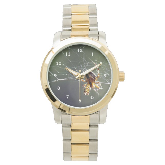 Titta - Spider på Webben Armbandsur (Framsida)