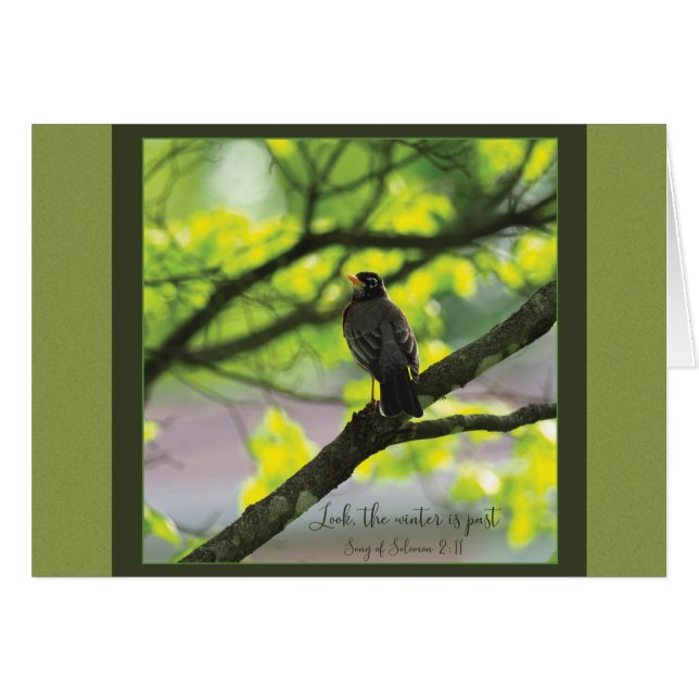 Titta vintern är förbi Parakaleo-anteckningskort OBS Kort (Framsidan Horizontal)