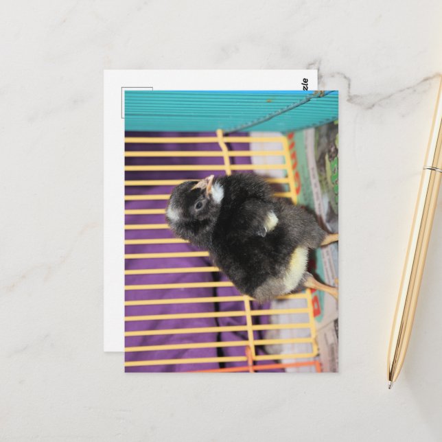 Titta Vykort (Fram/Back In Situ)