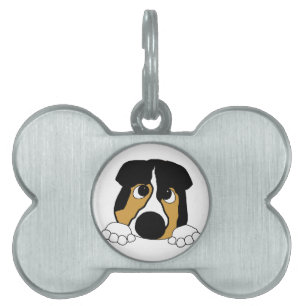 tittande svart tri aussie ID-bricka husdjur