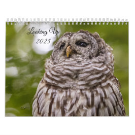 Tittar 2025-kalender kalender