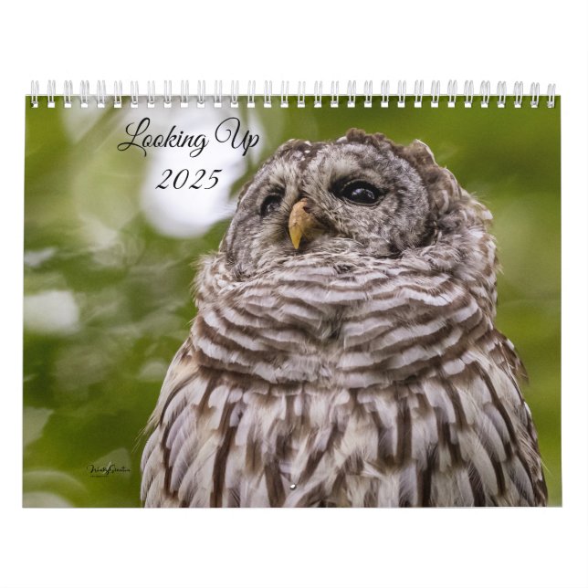 Tittar 2025-kalender kalender (Omslag)