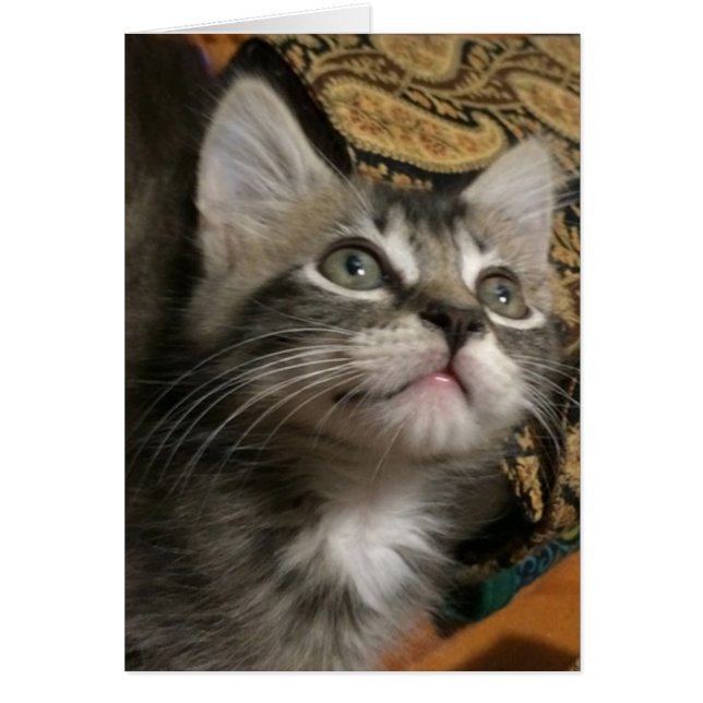 "Tittar av Behålla"-kort Hälsningskort (Framsidan)