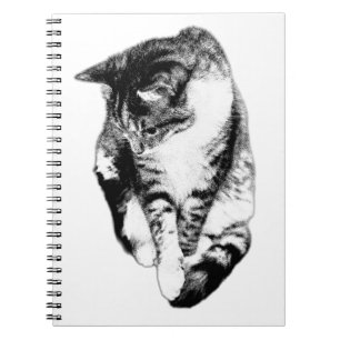 Tittar av den enfärgade bärbara datorn Tabby katt Anteckningsbok