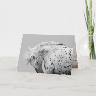 Tittar av glasskakningar med vild Horse Greeting C Kort
