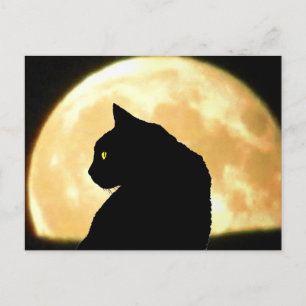 Tittar bak, svart katt och full måne vykort