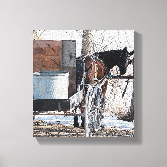 Tittar bakåt canvastryck (Framsida)