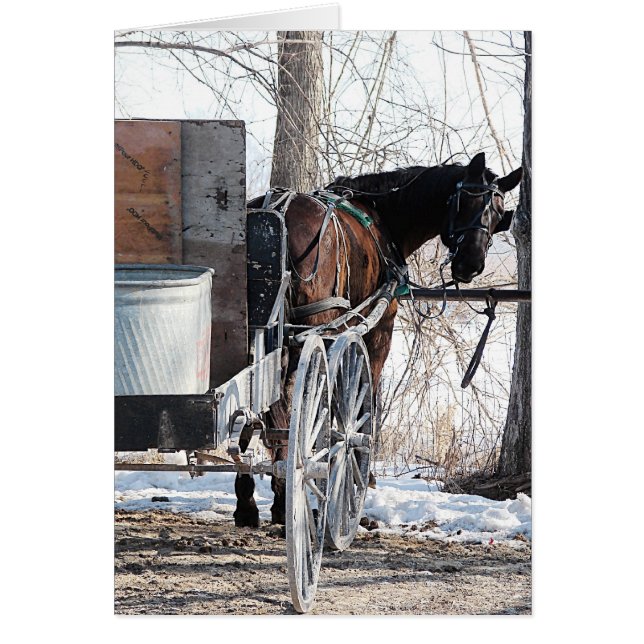 Tittar bakåt hälsningskort (Framsidan)