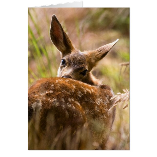 Tittar bakåt hälsningskort (Framsidan)