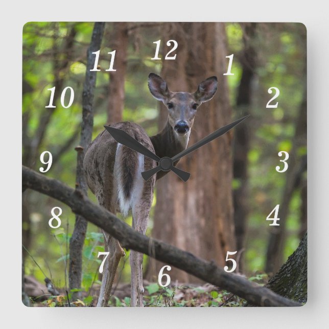 Tittar baksida av väggklocka (Framsida)