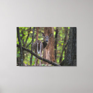 Tittar baksida Painterly Canvastryck