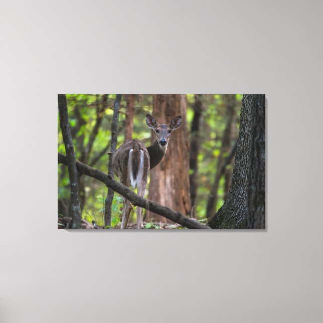 Tittar baksida Painterly Canvastryck (Framsida)