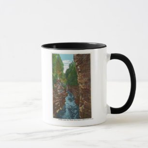 Tittar besegrar den Ausable svalgen från Hydes Mugg