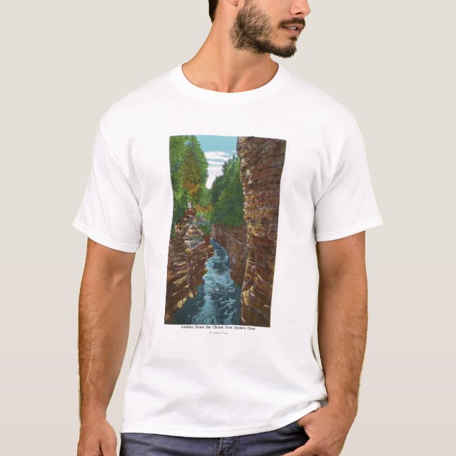 Tittar besegrar den Ausable svalgen från Hydes T-shirt (Framsida)