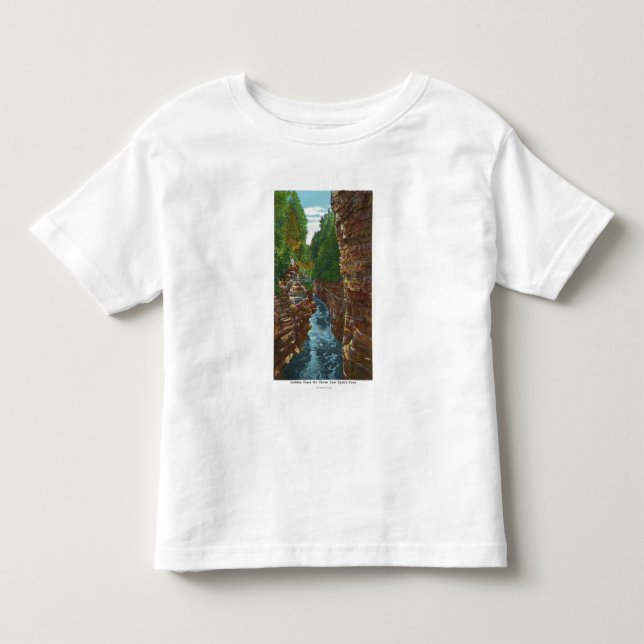 Tittar besegrar den Ausable svalgen från Hydes Tee (Framsida)