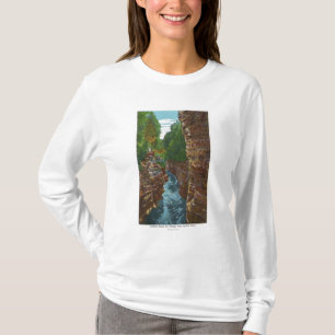 Tittar besegrar den Ausable svalgen från Hydes Tee Shirt