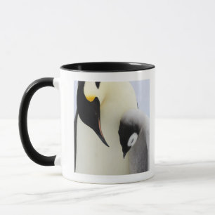 Tittar chick för kejsare pingvin mugg