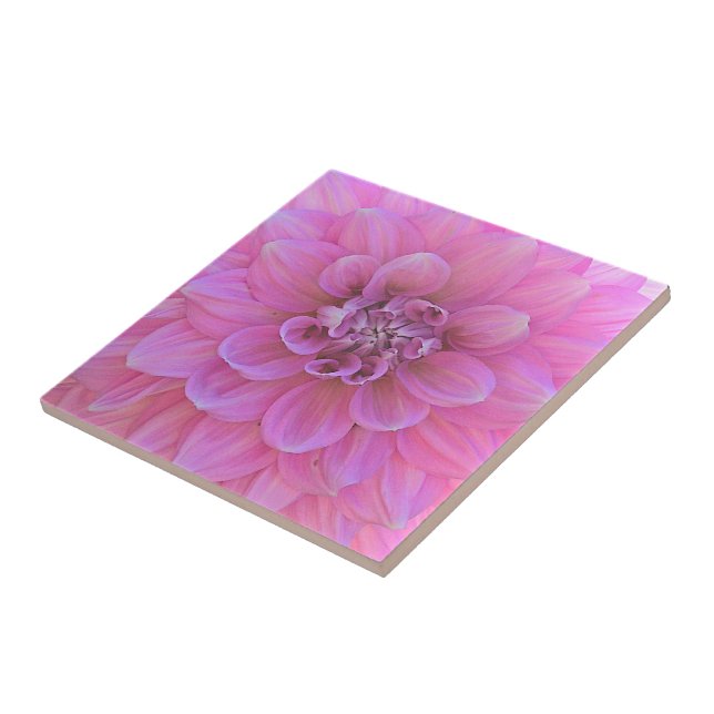 ’TITTAR DEEP I ROSA DAHLIA’ CERAMIC TILE/TRIVE KAKELPLATTA (Sidan)