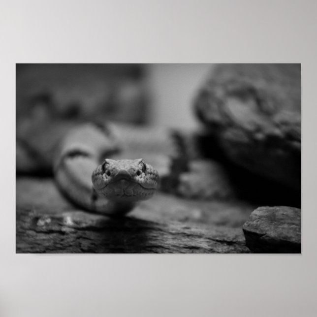 tittar dig poster (Framsidan)