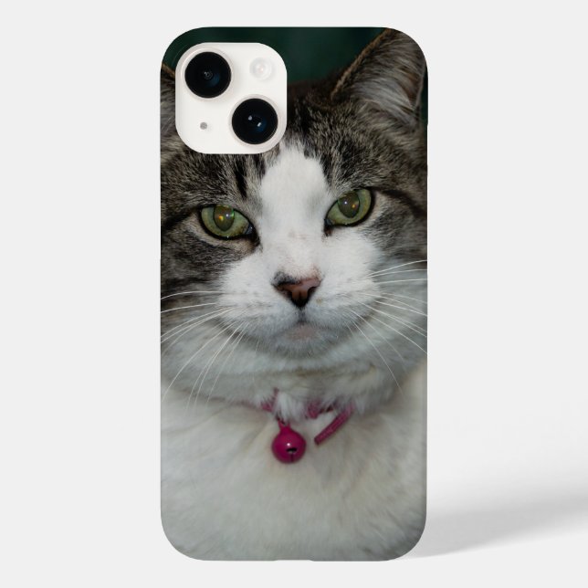 Tittar dig Tittar mig iphone case (Baksida)