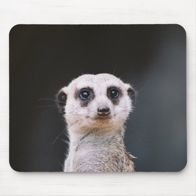 Tittar du mig?  Meerkat Mousepad Musmatta (Framsidan)