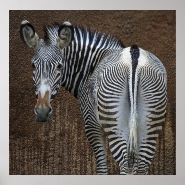 Tittar du på mig? poster (Framsidan)