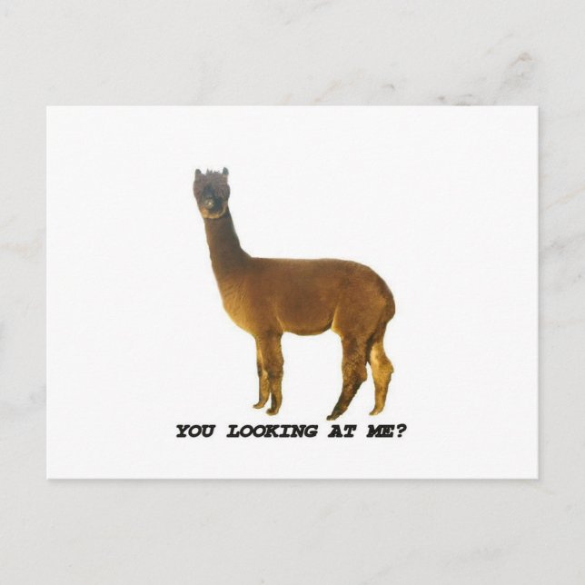 Tittar du på mig? vykort (Framsida)