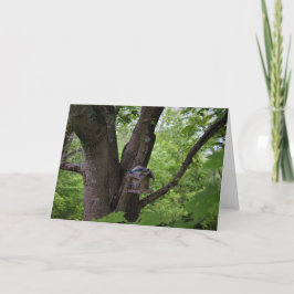 Tittar för en Bita till Kort