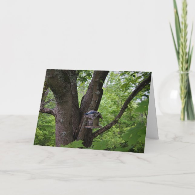 Tittar för en Bita till Kort (Framsida)