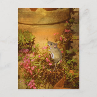 Tittar för ett hem. vykort